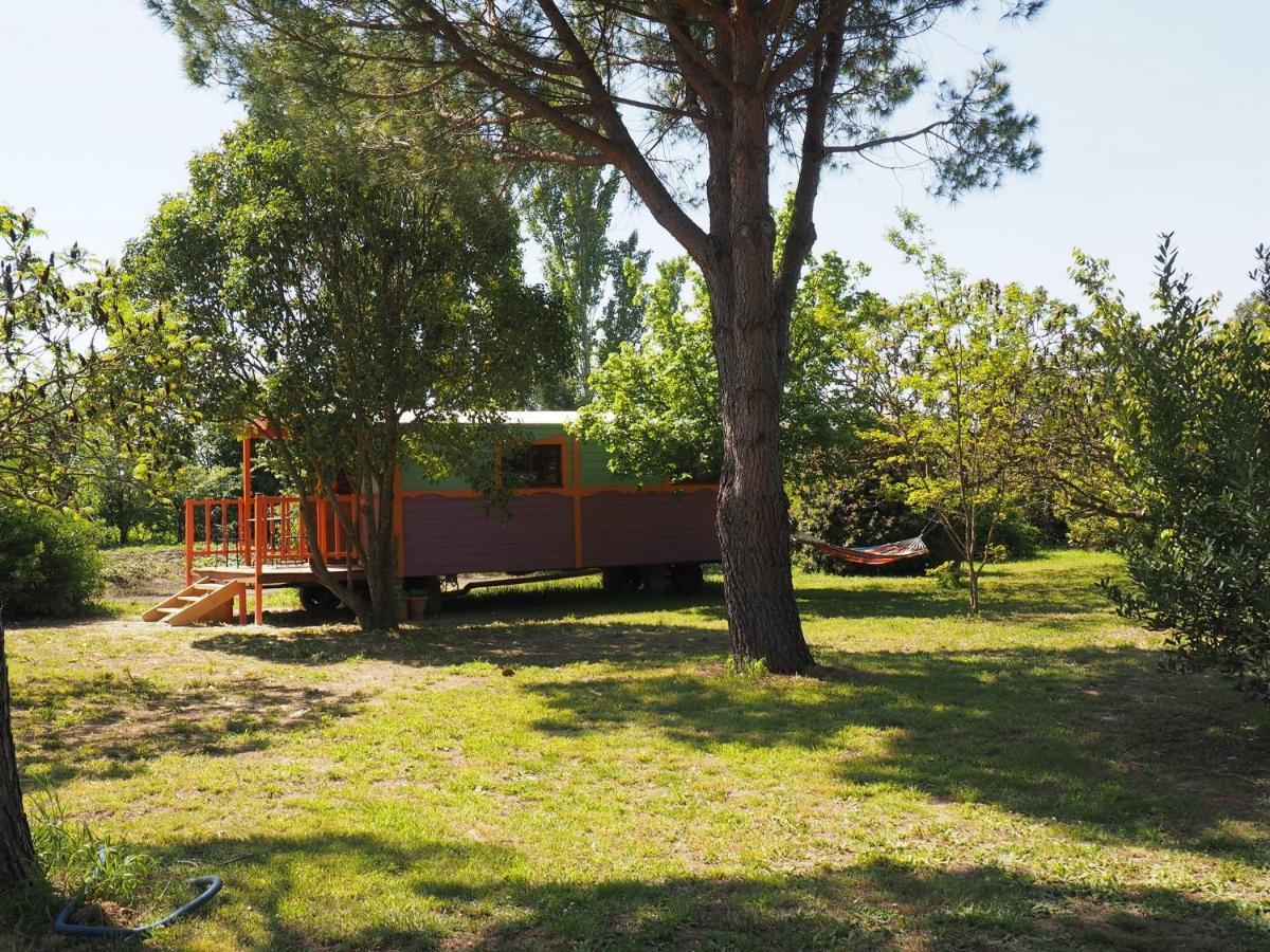 Les Gites Du Domaine De Rhodes Avignon Cameră foto