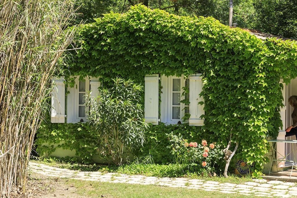 Les Gites Du Domaine De Rhodes Avignon Cameră foto